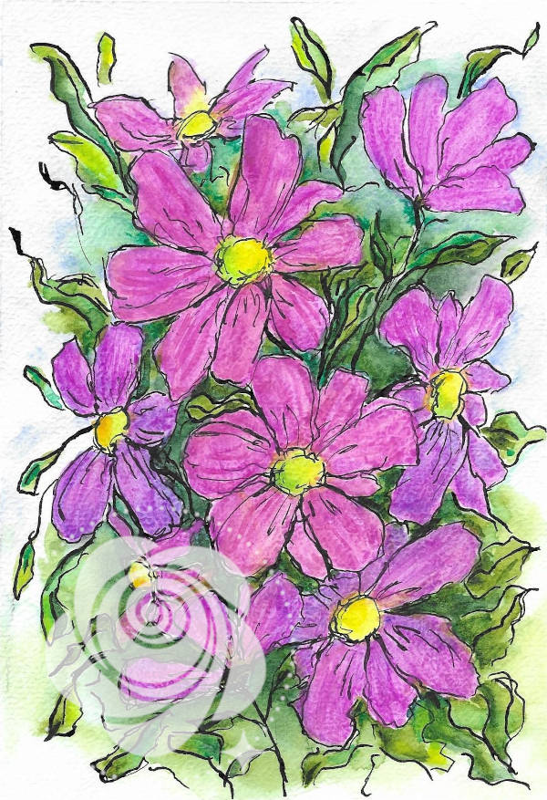 Ręcznie malowany akwarelami i tuszem obraz przedstawiający kwiaty „Kosmosy” w kolorze jasnego, choć odważnego różu.