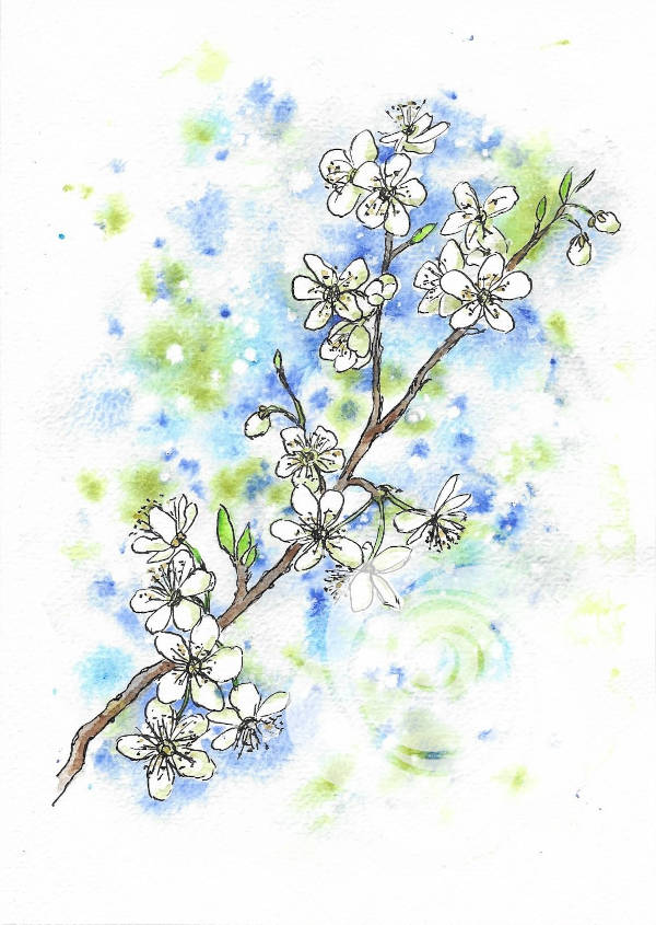 Ręcznie malowany akwarelami i tuszem obraz z kwitnącą gałązką czeremchy