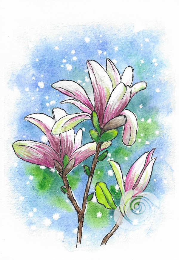 Ręcznie malowany akwarelami i tuszem obraz przedstawiający magnolie na błękitno-zielonym tle