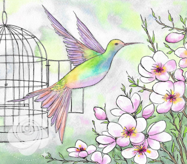 Ręcznie malowany akwarelami i tuszem obraz przedstawiający kolibra lecącego w stronę kwitnących na białoróżowo krzewów, który w domyśle wydostał się z klatki i jest wolny.